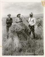Thumbnail for 'Barley Harvest, San Luis Valley'