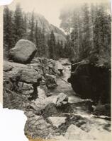 Thumbnail for 'River Scene in the Mountains, San Luis Valley (?)'