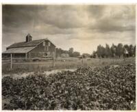 Thumbnail for 'Field with Barn, San Luis Valley (?)'