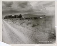 Thumbnail for 'Cattle Ranch, San Luis Valley'