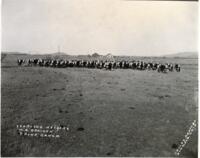 Thumbnail for 'Yearling Heifers, W.A. Braiden, T. Bone Ranch'