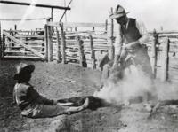 Thumbnail for 'Cattle Branding, San Luis Valley (?)'