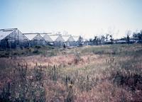 Thumbnail for 'Business, Elati, 3600 S - Oliner Greenhouses'