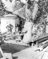Thumbnail for 'House, Elati, 4031 S - 1929 (ca.) - Back Yard of Barry Slater Home'