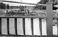 Thumbnail for 'Flood of 1965 - View of damage'