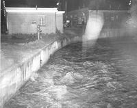 Thumbnail for 'Flood of 1963 - Little Dry Creek from Bannock Street Bridge'