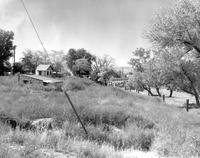 Thumbnail for 'Parks, Englewood's City Park - 1950 (ca.) - Looking West'
