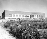 Thumbnail for 'Englewood Parks Department - 1950 - Flower Gardens'