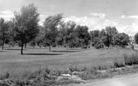 Thumbnail for 'Parks, Englewood's City Park - 1950 (ca.) - Looking West'