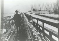 Thumbnail for 'Cherrelyn Horse Car Tracks - 1900 (ca.) - Man walking on the Tracks'