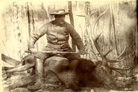 Thumbnail for 'Hollingsworth & his elk'