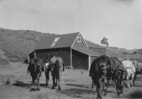 Thumbnail for 'Johnson Ranch granary'