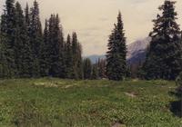 Thumbnail for 'Meadow near Copper Mountain'