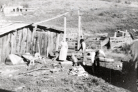 Thumbnail for 'Helene Johannbroer Homestead (Black Mountain Ranch)'