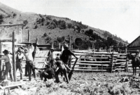Thumbnail for 'Branding at Charley McCoy ranch'