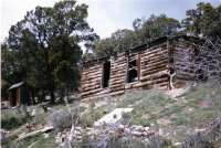 James homestead cabin