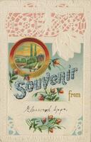 Thumbnail for 'Souvenir from Glenwood Springs postcard'