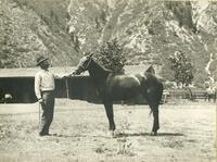 Frank Doll and horse