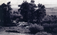Thumbnail for 'Kilgore property, Brush Creek Valley'