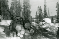 Thumbnail for 'Everett Warren stacking logs'