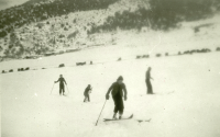 Thumbnail for 'Whittaker Ski Hill'