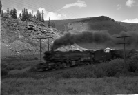 Thumbnail for 'Rio Grande locomotive'