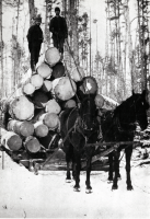 Thumbnail for 'Hauling logs at Rock Creek'