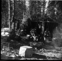 Thumbnail for 'Logging Camp'