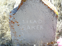Thumbnail for 'Lila D. Baker'