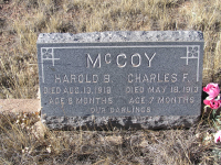 Thumbnail for 'Harold B. and Charles F. McCoy'