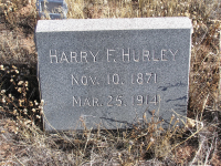Thumbnail for 'Harry F. Hurley'