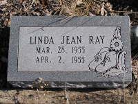 Thumbnail for 'Linda Jean Ray'