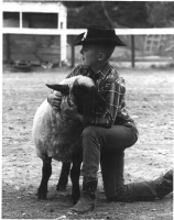 Rod Carter and sheep