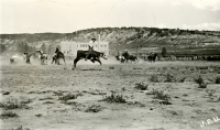 Thumbnail for 'Rodeo in Eagle, Colorado'