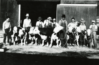 Thumbnail for 'Winners at the Eagle County Fair, 1939'