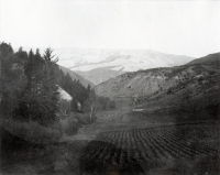 Thumbnail for 'Potato fields at Louis Fenno Ranch'