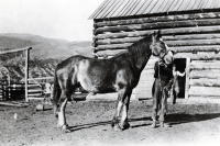 Thumbnail for 'Charles Eaton at McCoy Creek Ranch'