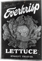 Thumbnail for 'Everkrisp Lettuce'