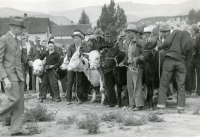 Thumbnail for 'Judging stock at the Eagle County Fair in 1939'