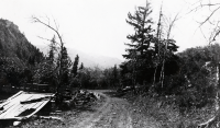 Thumbnail for 'View of Beaver Creek behind Offerson house'