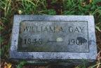 Thumbnail for 'William A. Gay'