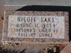 Thumbnail for 'Nicole Lake'