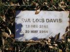 Thumbnail for 'Eva Lois Davis'