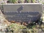 Thumbnail for 'William B. Lucksinger'