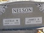 Thumbnail for 'Lucille M. and James A. Nelson'