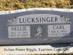 Thumbnail for 'Nellie and Carl Lucksinger'
