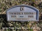 Thumbnail for 'Patricia B. Higgins'