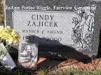 Thumbnail for 'Cindy Zajicek'