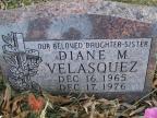 Thumbnail for 'Diane M. Velasquez'