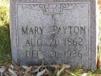 Thumbnail for 'Mary Payton'